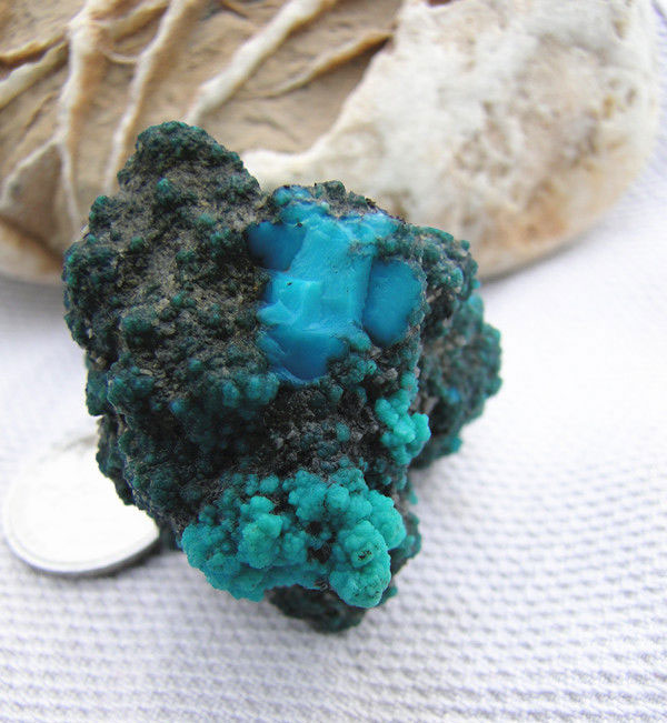 永利集团·yl(中国游)官方网站