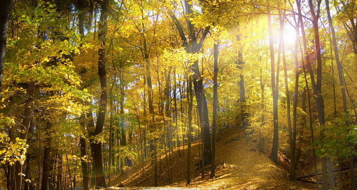 永利集团·yl(中国游)官方网站