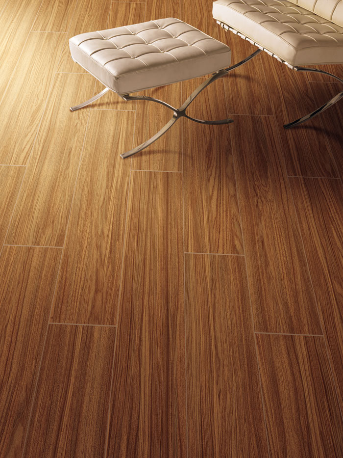 最美，，，，，不过当阳光遇上森林