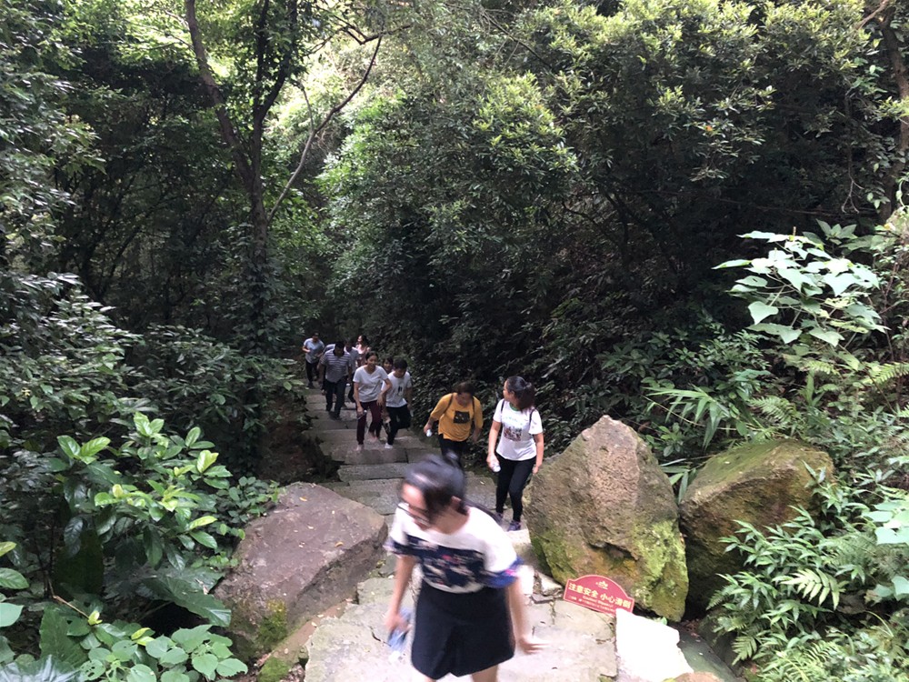 永利集团·yl(中国游)官方网站