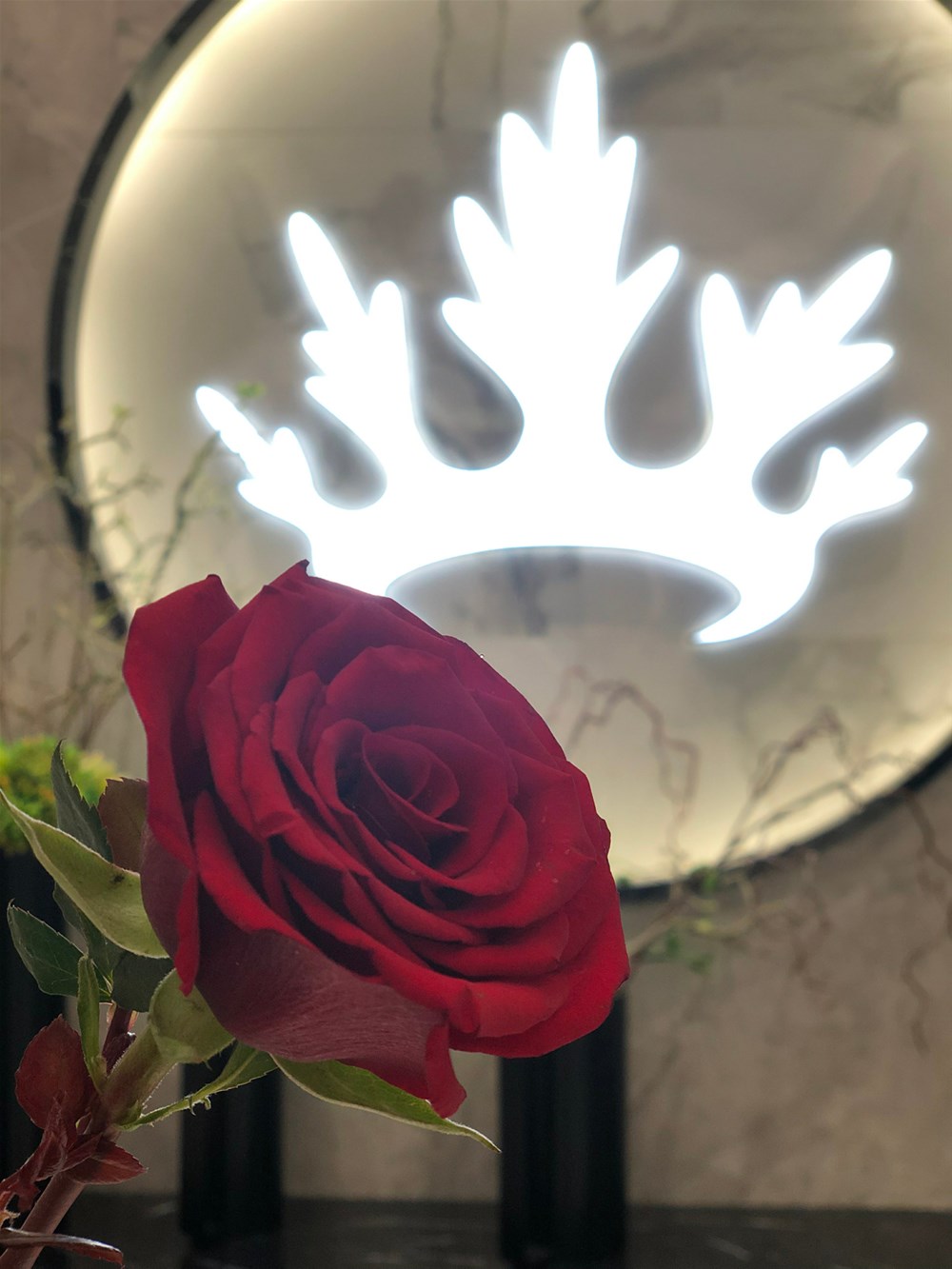 永利集团·yl(中国游)官方网站