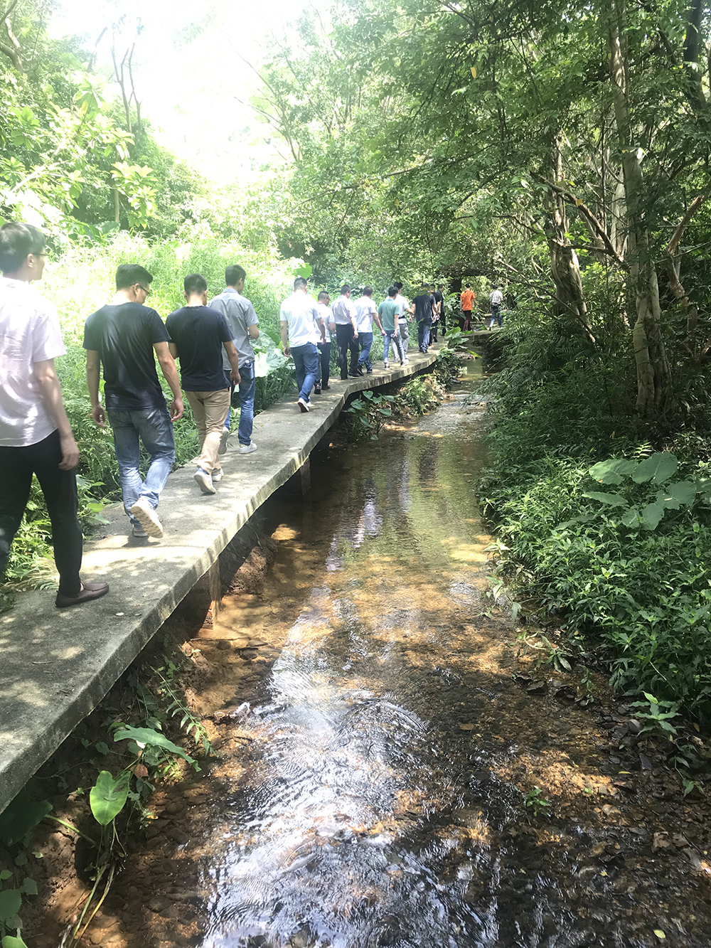 永利集团·yl(中国游)官方网站