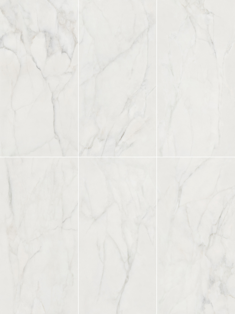 永利集团·yl(中国游)官方网站